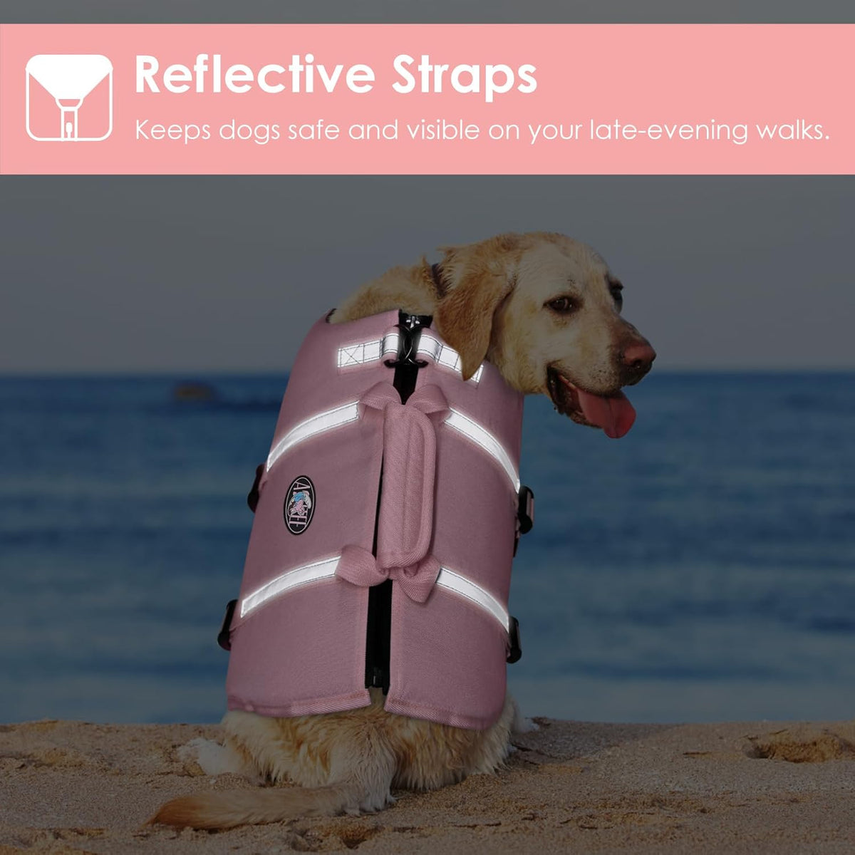 Durable oxford cloth dog safety vest with leash D-ring