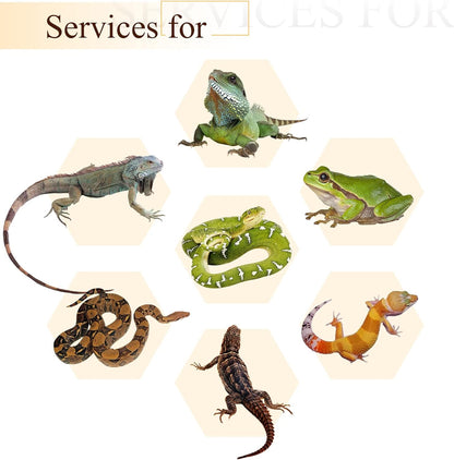 Packaged Canlierr reptile habitat decor accessories