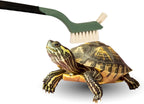 Snout And Shell Turtle Cleaning Brush blue resting on surface