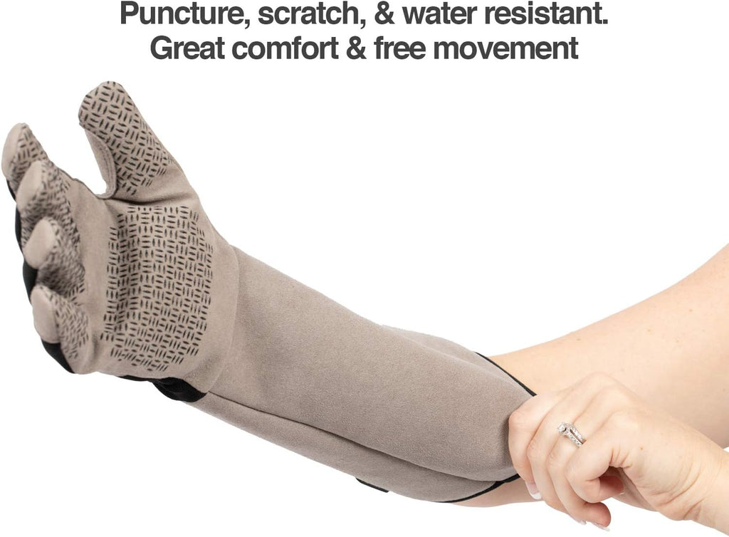 Grey pet handling glove with extended elbow protection for vet trips