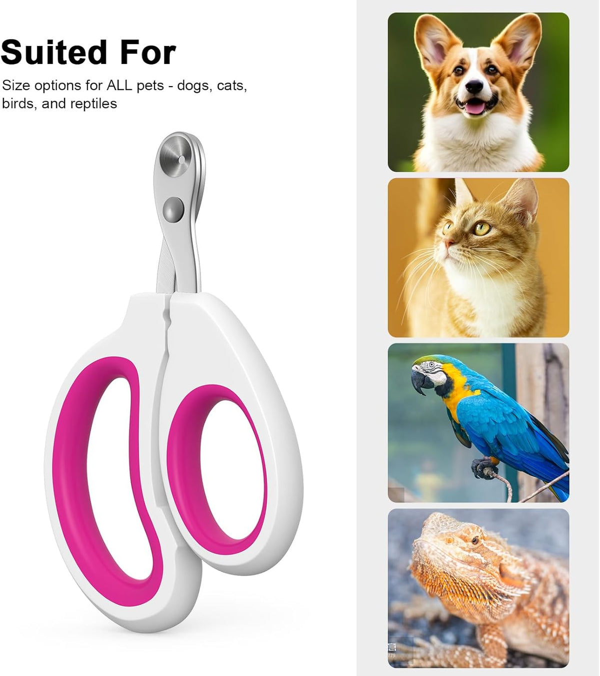 Beginner friendly cat nail scissors showing the round mouth structure