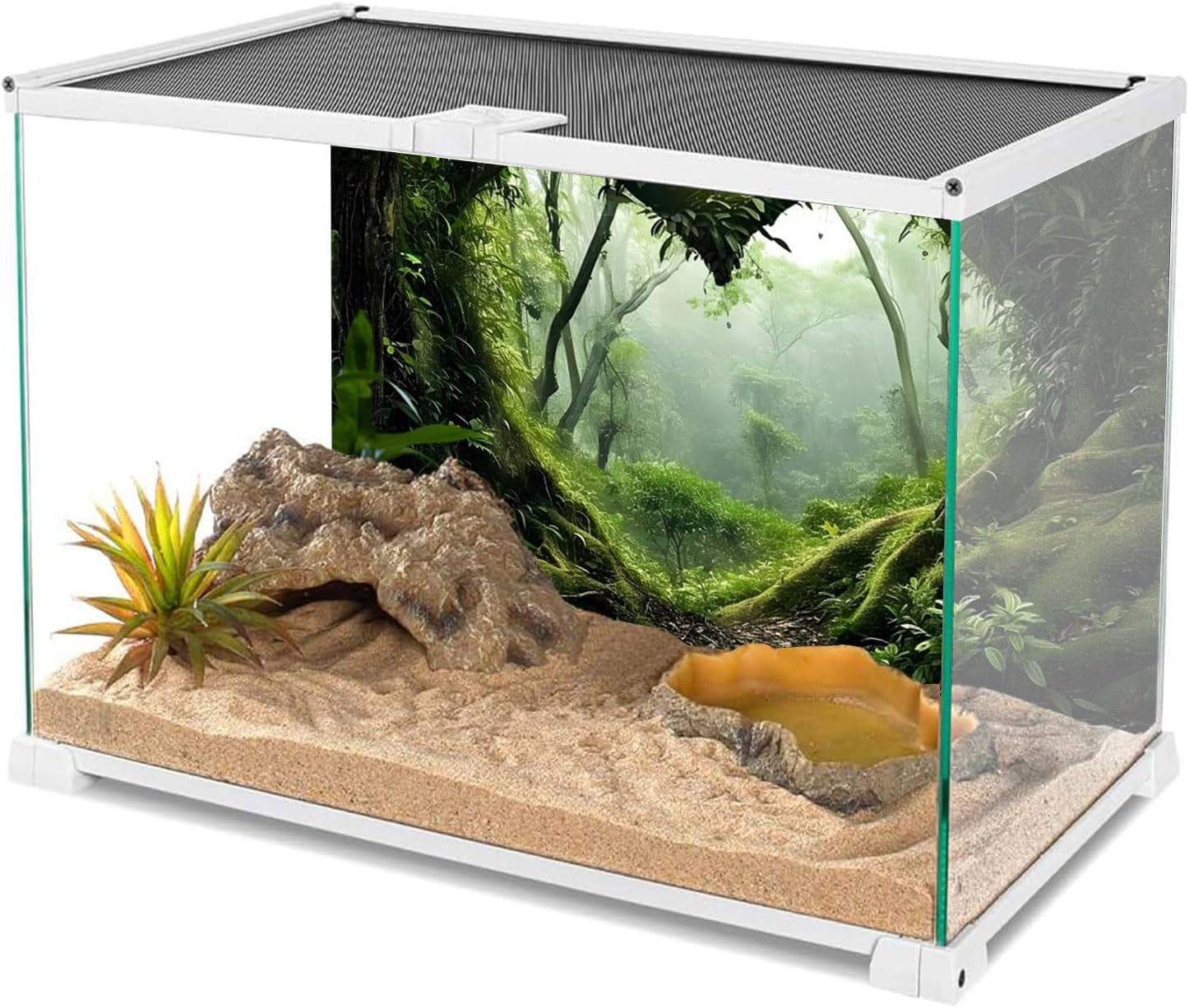 AWERT 30x18 inches Foggy Rainforest Habitat Poster mounted on the back of an enclosure for visual depth.