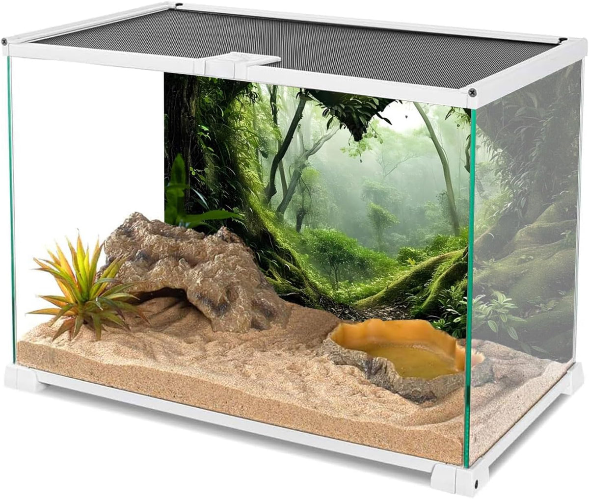 AWERT 30x18 inches Foggy Rainforest Habitat Poster mounted on the back of an enclosure for visual depth.