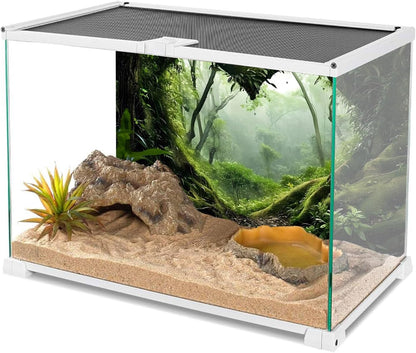 AWERT 30x18 inches Foggy Rainforest Habitat Poster mounted on the back of an enclosure for visual depth.