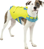 Kurgo Surf n' Turf Dog Life Jacket - Flotation Life Vest for Swimming and Boating - Dog Lifejacket with Rescue Handle and Reflective Accents - Machine Washable - Red/Blue, Medium - Image 10