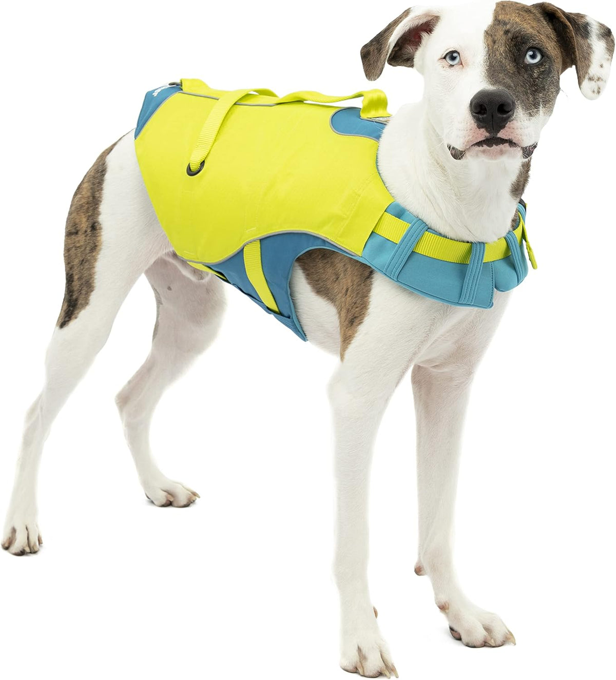 Kurgo Surf n' Turf Dog Life Jacket - Flotation Life Vest for Swimming and Boating - Dog Lifejacket with Rescue Handle and Reflective Accents - Machine Washable - Red/Blue, Medium - Image 10