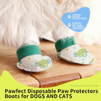 Dog wearing Furrtripsy waterproof paw covers