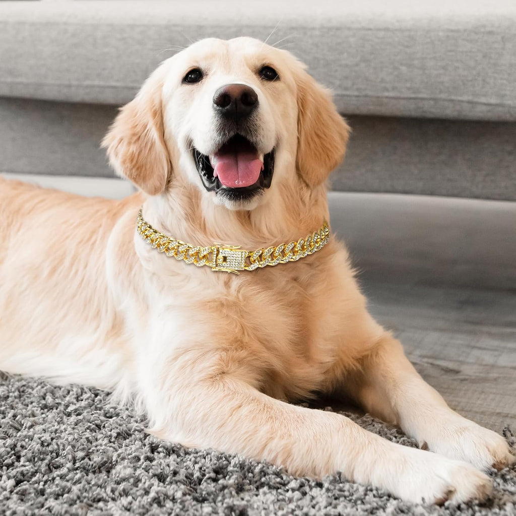 Close up view of the gold pet chain necklace showcasing the smooth zinc alloy links and sparkling zirconia diamonds.