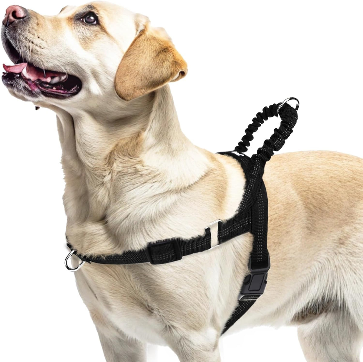 Pupteck large dog harness escape proof design
