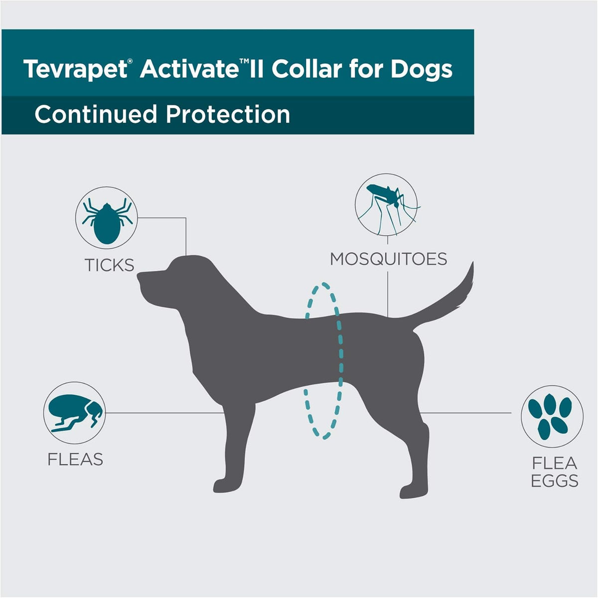 TevraPet Activate II Flea and Tick Collar for Dogs, 12 Months Prevention, 2 Count, for Medium and Large Dogs - Image 4