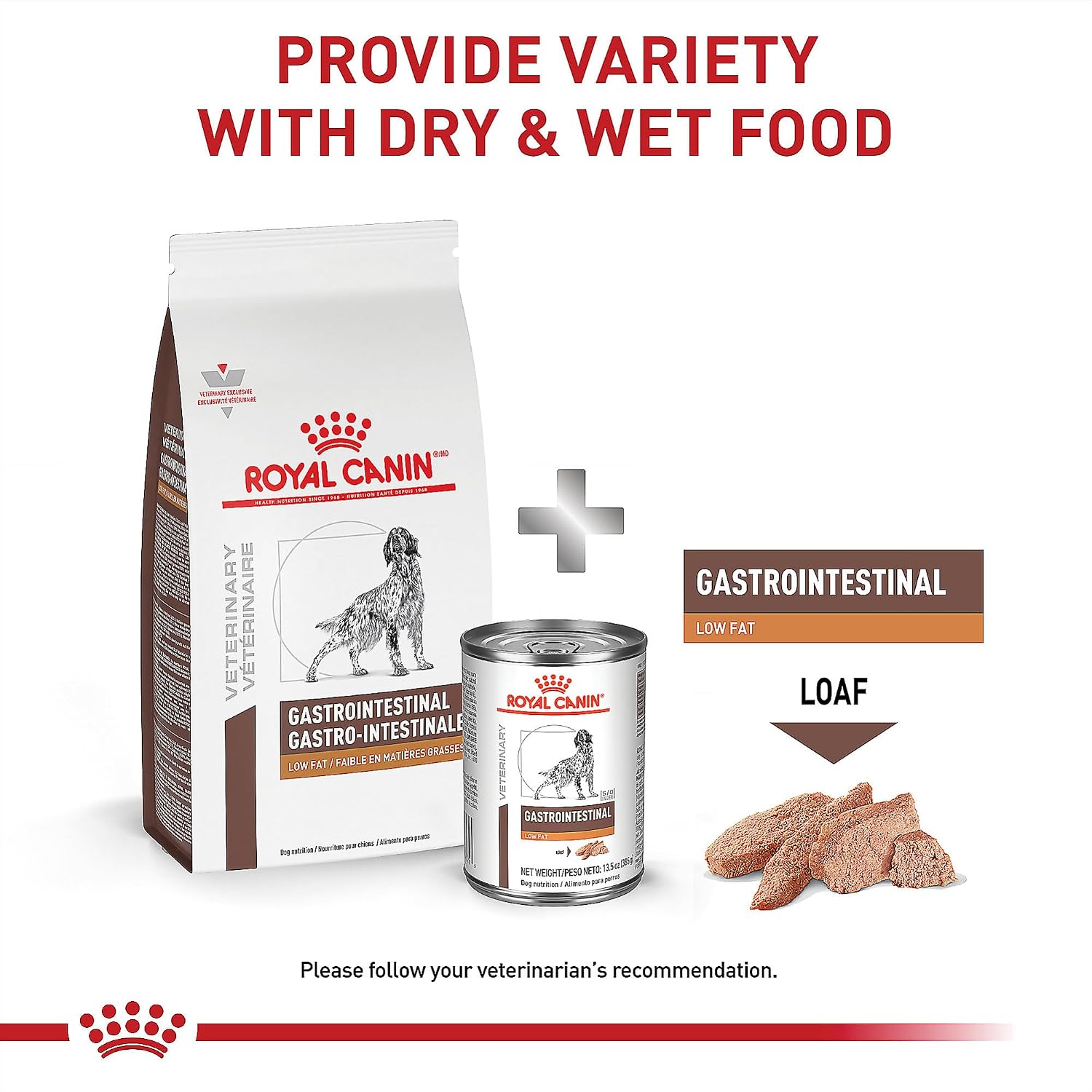 Premium veterinary exclusive Royal Canin gastrointestinal low fat kibble package view.