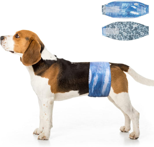 Dono disposable male dog wraps front packaging view showing small size 48 count