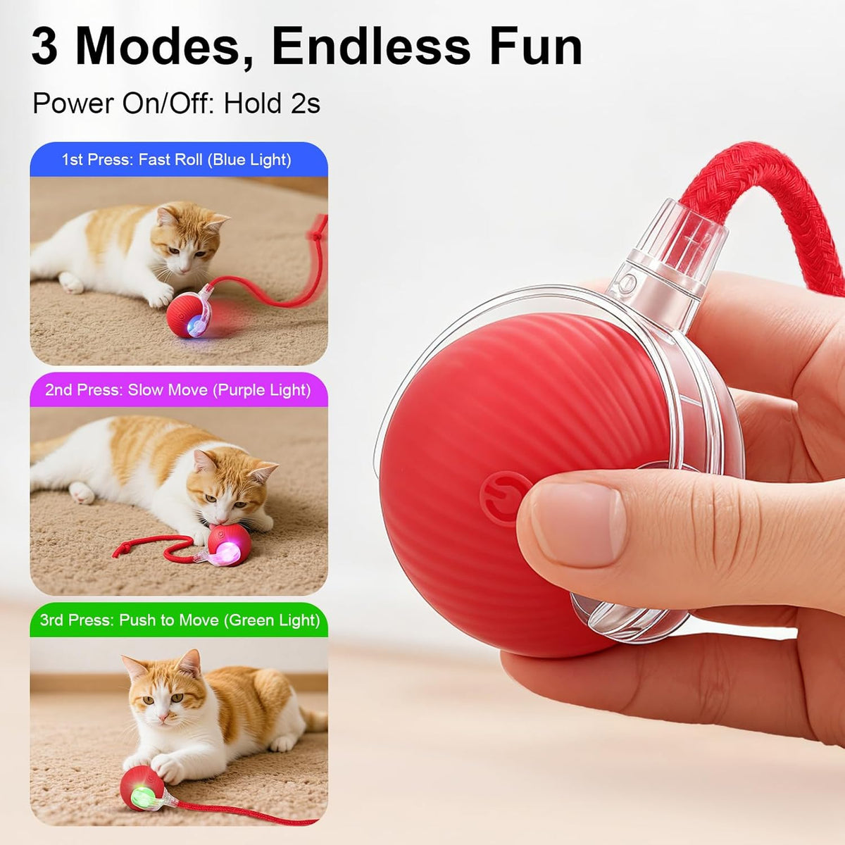Pet playing with SilveWillo motion activated teaser toy