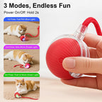 Close up of blue silicone rechargeable cat and dog ball toy