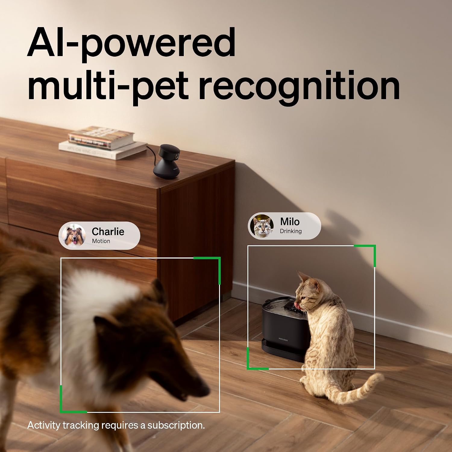 Petlibro Scout smart camera showing 360 degree rotation