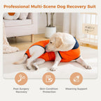 Avont breathable pet recovery shirt detailing the roll up belly flap for potty breaks