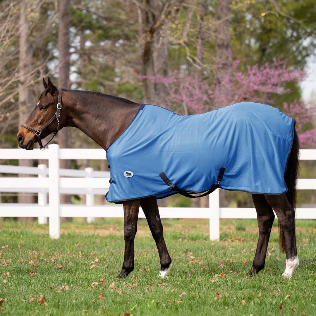 Miller's horse fly sheet light blue with navy trim front view