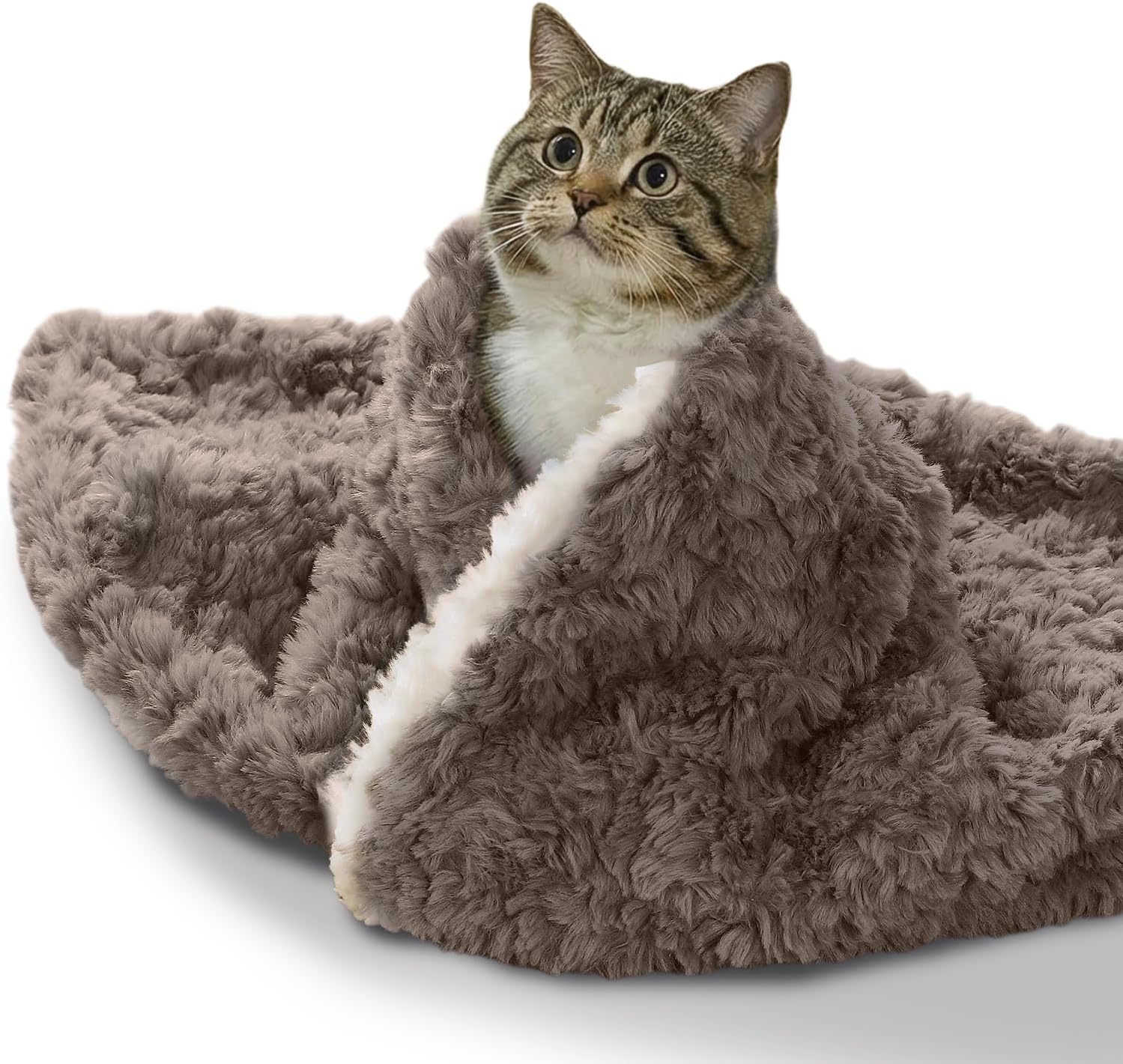 Cat Blanket for Indoor Cats - Ultra Thick 460GSM Faux Rabbit Fur & 260GSM Sherpa, Small Pet Throw for Carrier, Crate & Couch Protection, Soft Thermal Kitten Bedding, 21"x18" Grey - Image 9