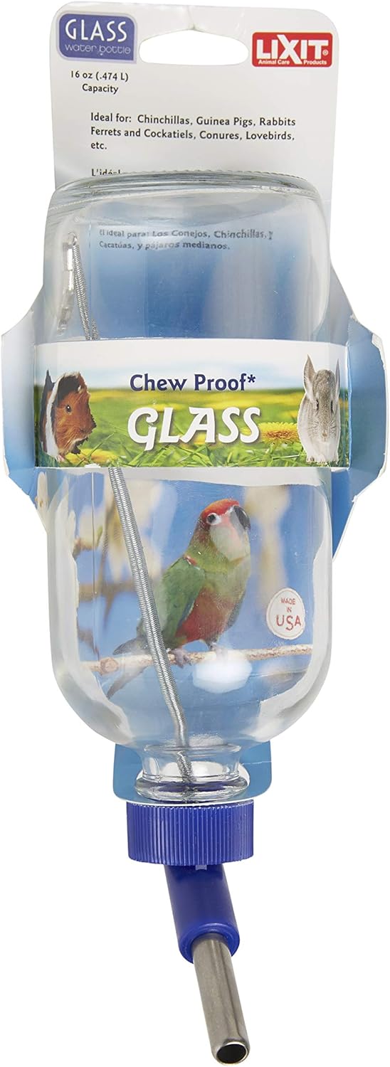 Lixit Glass Water Bottles for Small Animals and Birds (16oz), Clear (COMINHKR016337) - Image 1