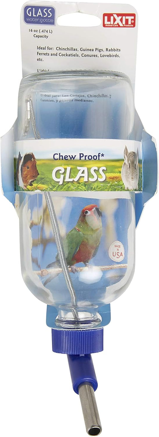 Lixit Glass Water Bottles for Small Animals and Birds (16oz), Clear (COMINHKR016337) - Image 1