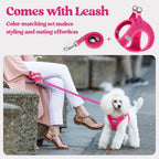 Rabbitgoo small breed no pull dog harness back view with dual D rings