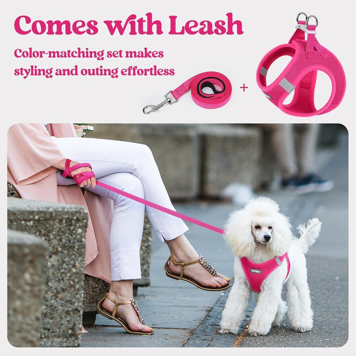 Rabbitgoo small breed no pull dog harness back view with dual D rings