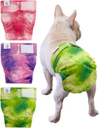 CuteBone Washable Dog Diapers Female No Tail Hole 3 Pack Reusable Doggie Period Training Pants for Docked-Tail Frenchie French Bulldog Boston Terrier Without Tail WWD15M - Image 12