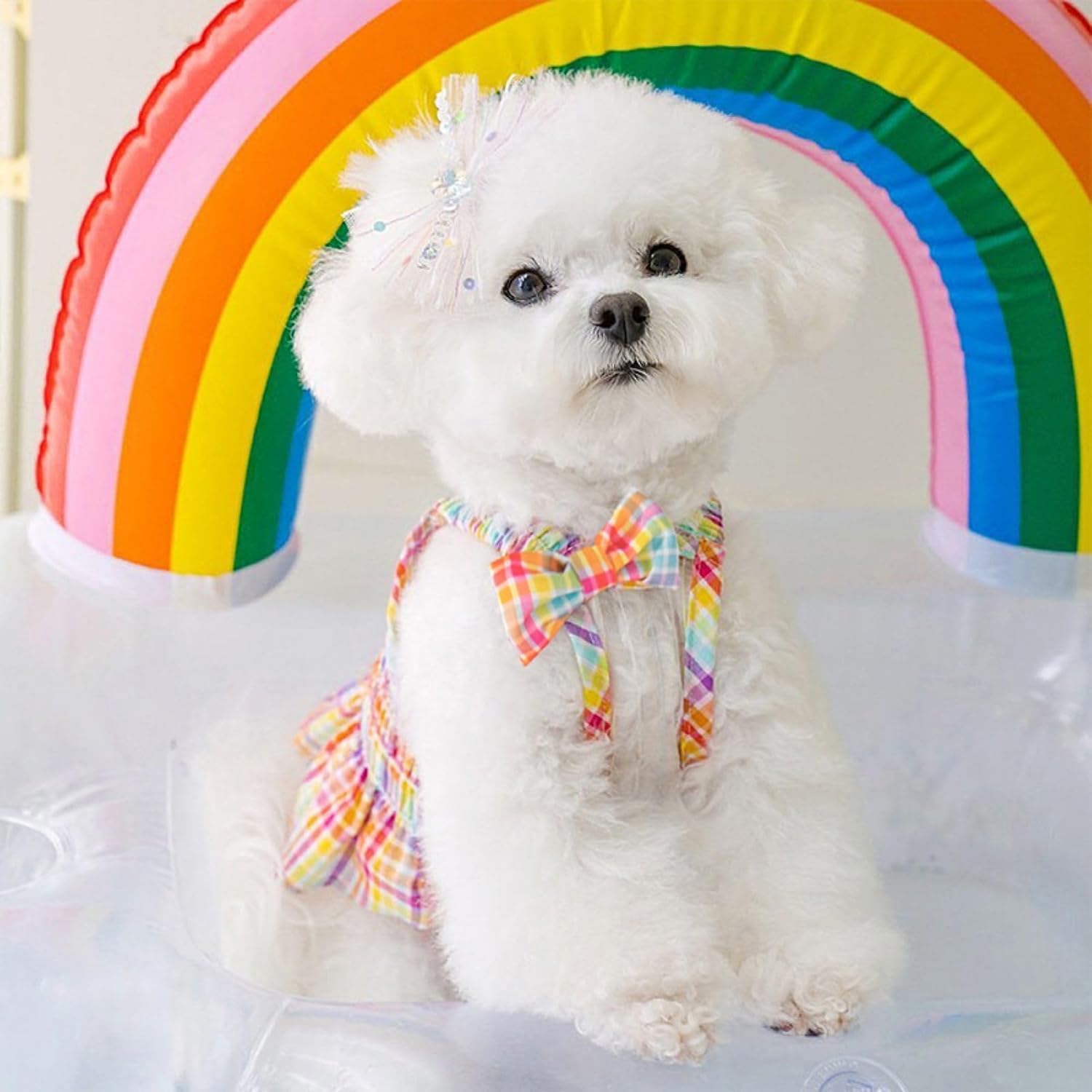 Elastic neck detail on Taoqiao comfortable pet apparel for small dogs