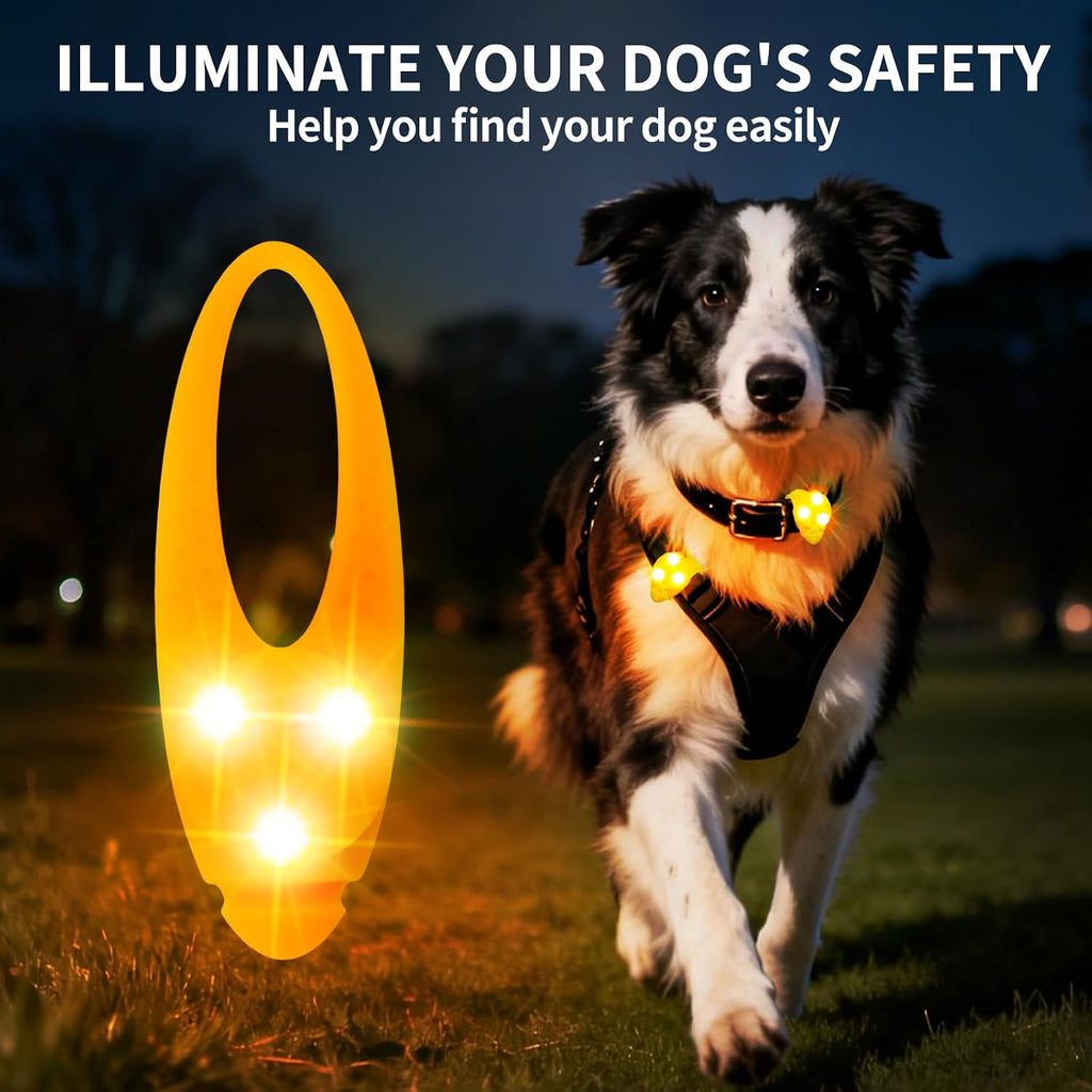 LaRoo orange night walking pet light attached to a black dog harness