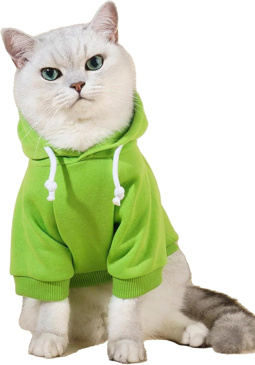 Back view of the QWINEE basic dog hoodie showing length