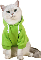 Back view of the QWINEE basic dog hoodie showing length