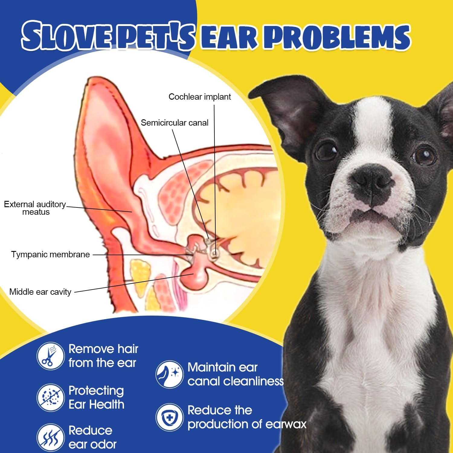 Using Ninibabie ear powder on a dog