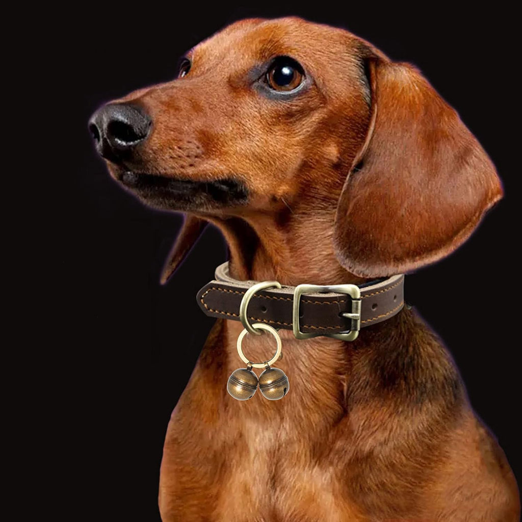 Kittail heavy duty outdoor pet bell with secure clasp detailing for active dogs