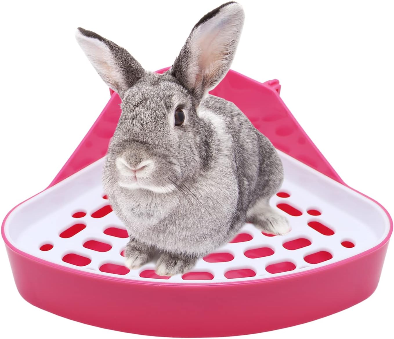 Litewoo pet toilet for ferrets and hamsters