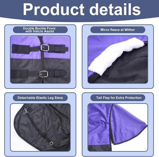 Gallopoff lightweight waterproof horse blanket purple and black color
