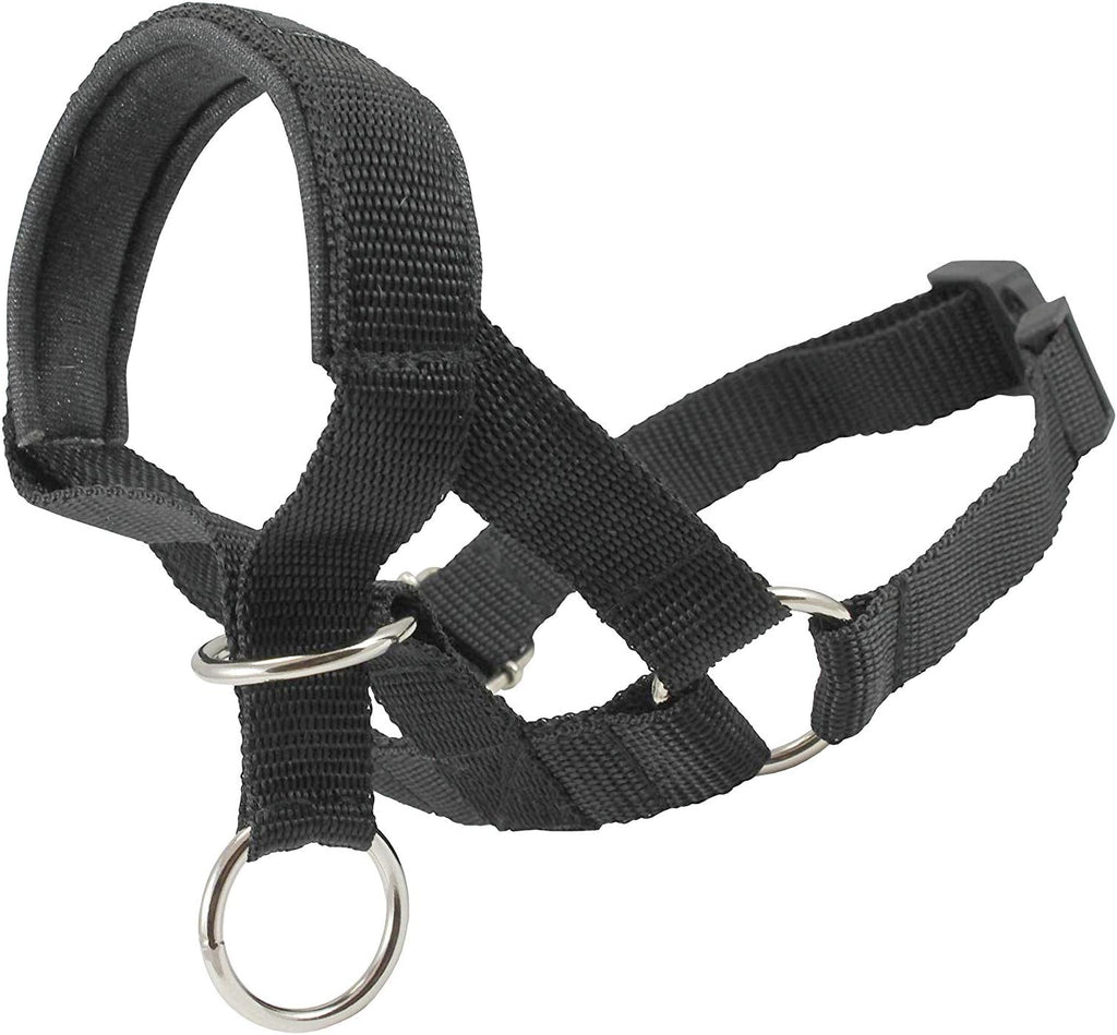 Dogs My Love dog head collar halter black front view on large dog snout
