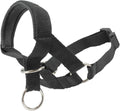 Dogs My Love dog head collar halter black front view on large dog snout