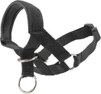 Dogs My Love dog head collar halter black front view on large dog snout