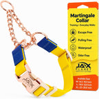 Jelly Martingale Collar for Dogs with Chain - 2-Way Control, Waterproof No Pull Dog Collar, Quick Release Buckle, One-Time Adjustment, Easy-Clean, Escape Free, Odor-Resistant, Blue & Rose, L - Image 14