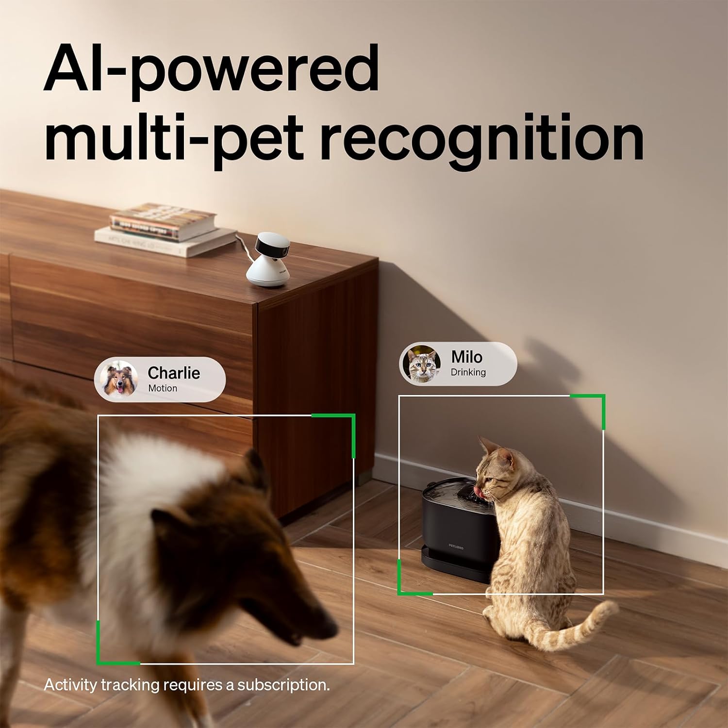 Petlibro smart pet monitor showing 360 degree pan view