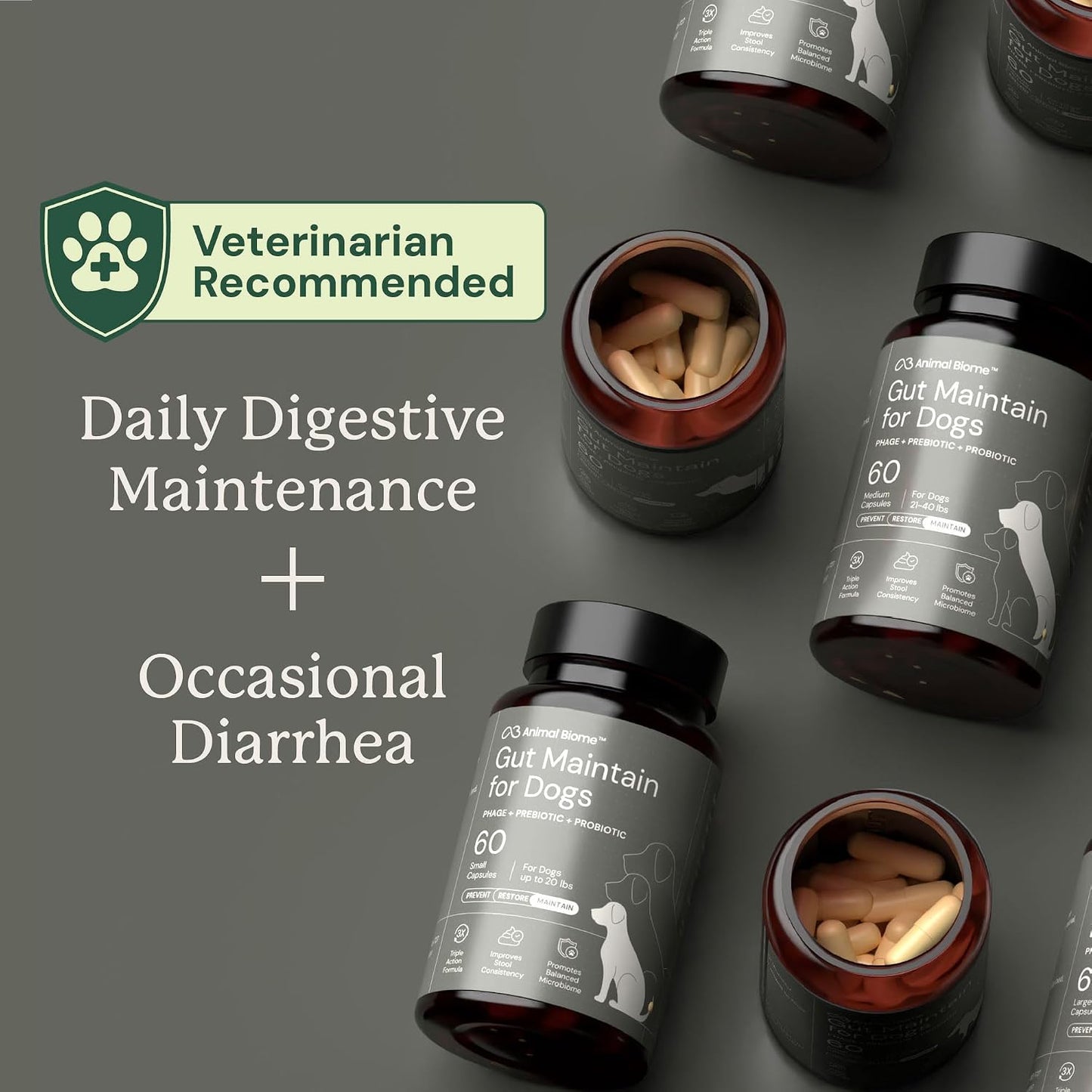 AnimalBiome dog gut health maintenance supplement side view