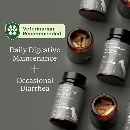 AnimalBiome dog gut health maintenance supplement side view