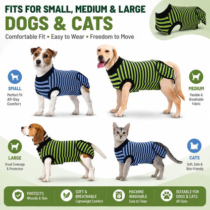 Quearn veterinary approved full body bandage protector package
