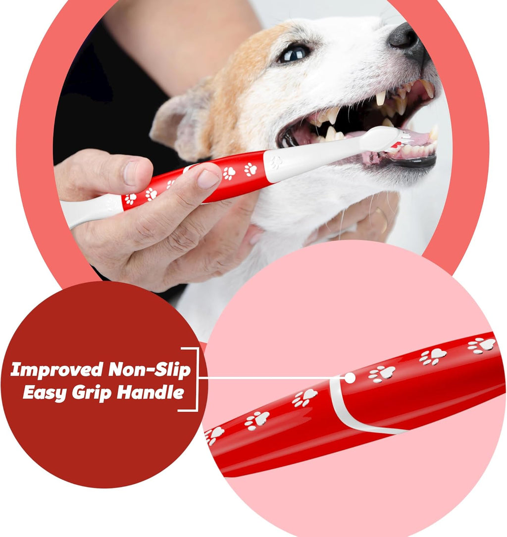 Ergonomic grip demonstration of pet dental tool