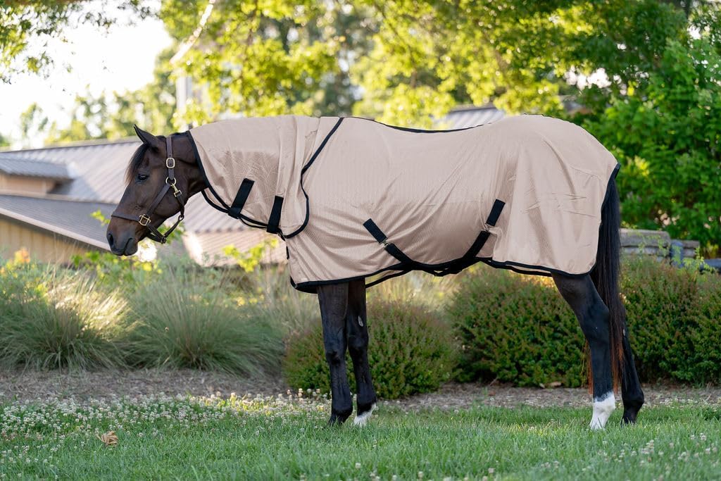 TuffRider Miller Combo Neck Fly Sheet front view on a horse in rose beige color.