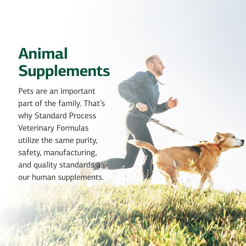 Standard Process Feline Renal Support cat health supplement container overview