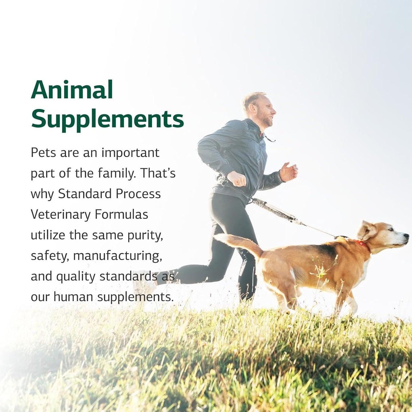 Standard Process Feline Renal Support whole food ingredients label