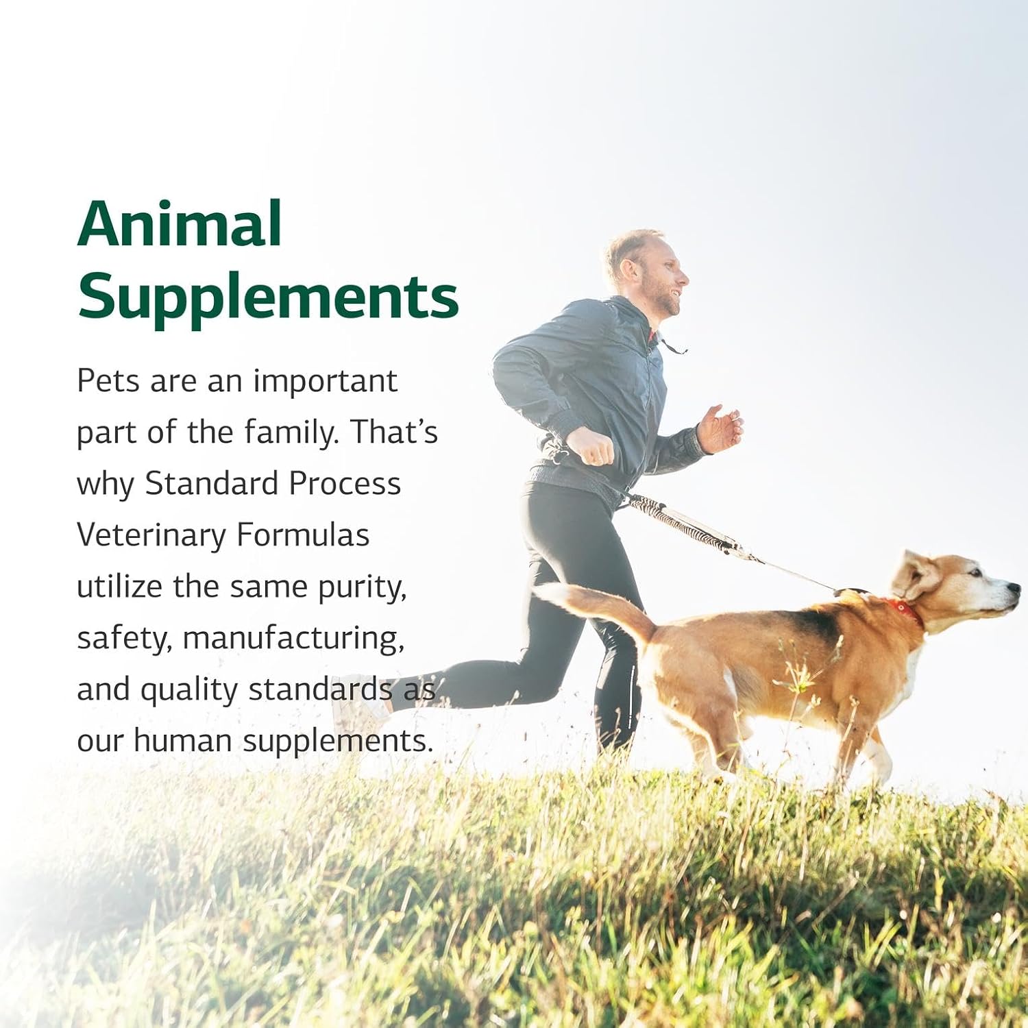Standard Process Feline Renal Support whole food ingredients label