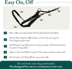 Sporn large breed no pull harness on a Labrador walking