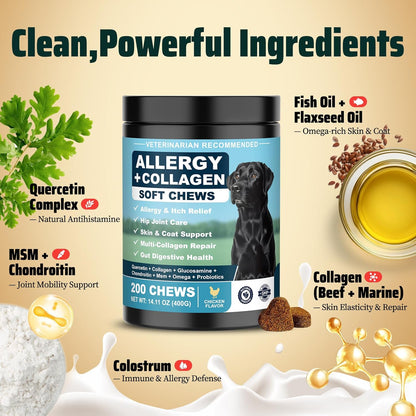 YYTKMY pet supplement container detailing the gut allergy axis probiotics and ingredients list.